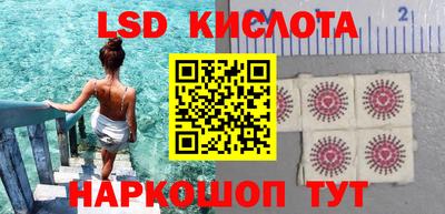 стафф Обнинск