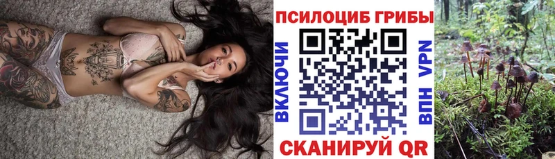 Псилоцибиновые грибы Magic Shrooms  закладки  Свободный 
