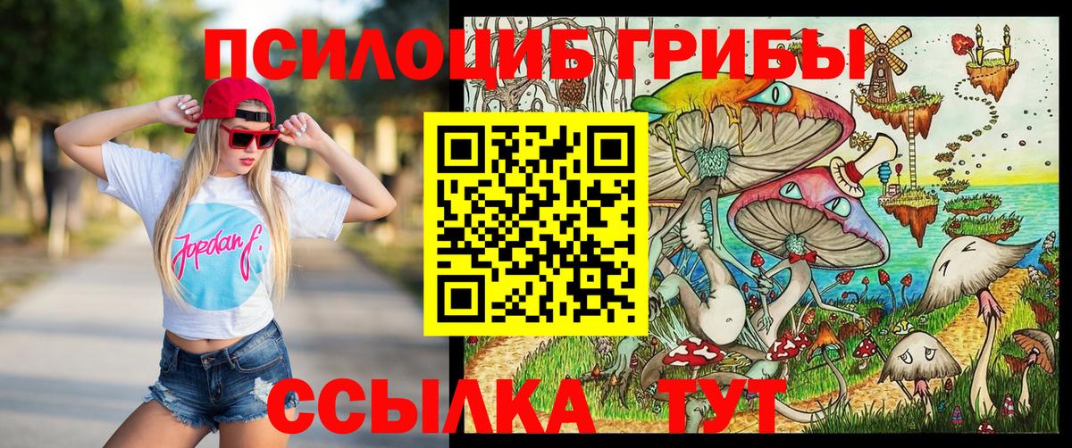 Псилоцибиновые грибы MAGIC MUSHROOMS  Вход с VPN  Свободный 