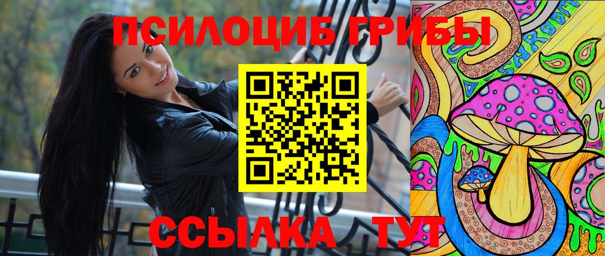 Псилоцибиновые грибы Psilocybe Свободный